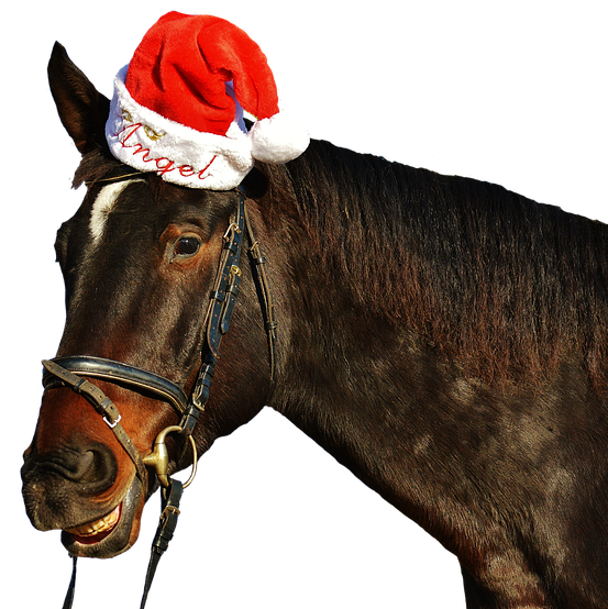 Pferd Weihnachten