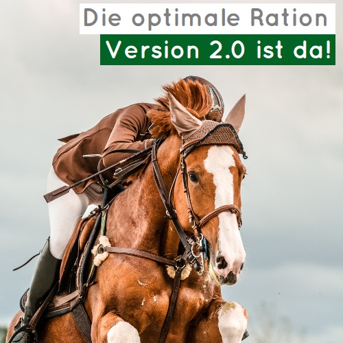 Version2 .0