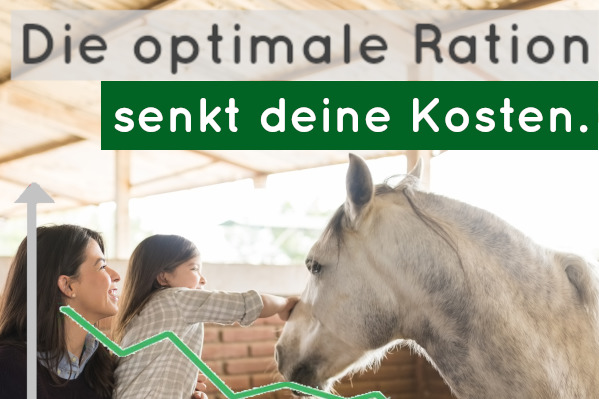 Kosten senken in der Pferdehaltung